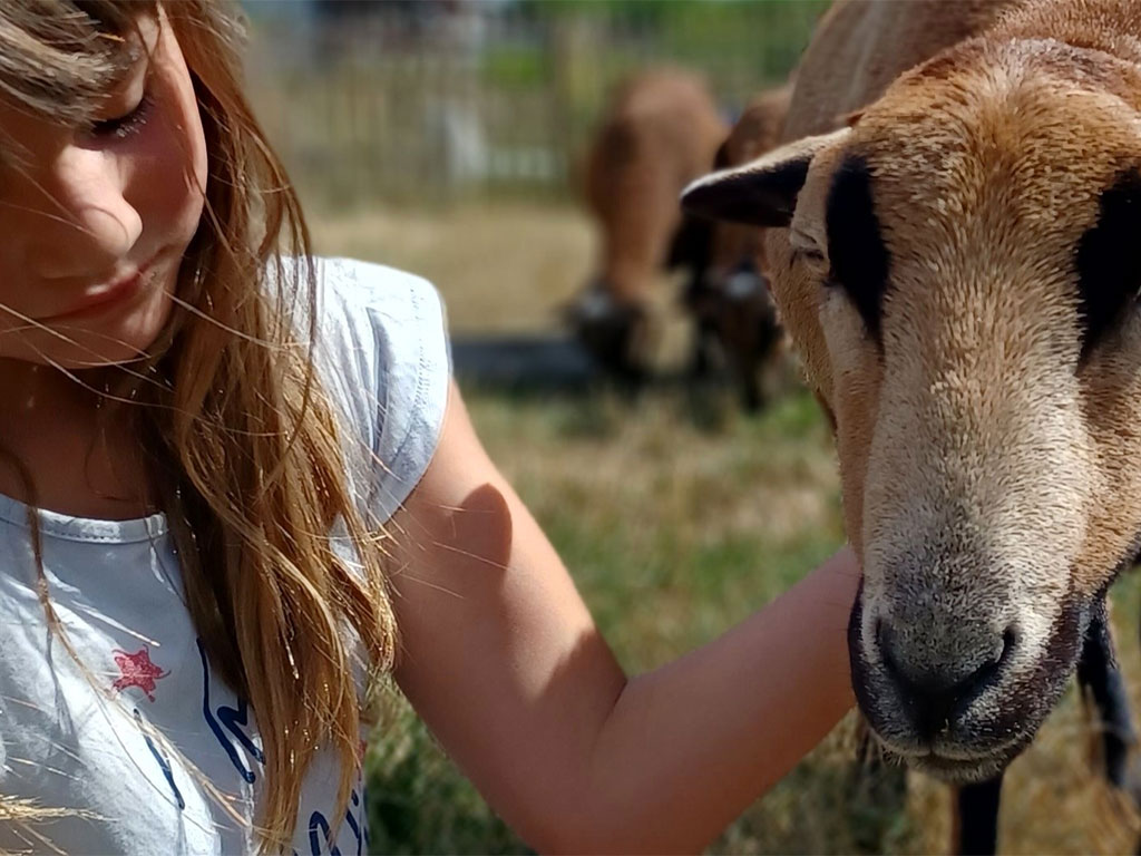 Besonderheiten der tiergestützten Intervention mit Charly Darga