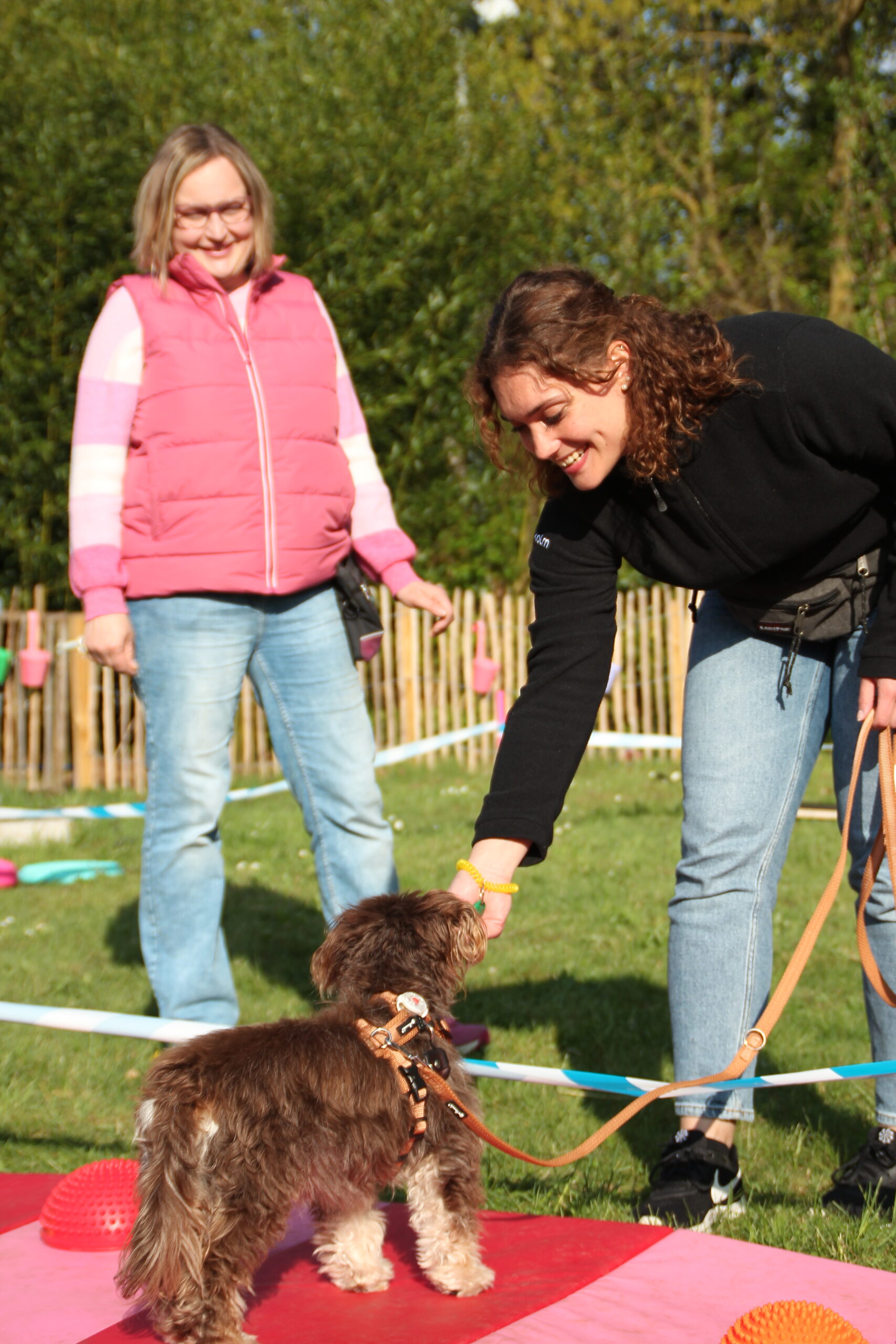 Tiergestützte Intervention mit Charlotte Darga von TierMotiv
